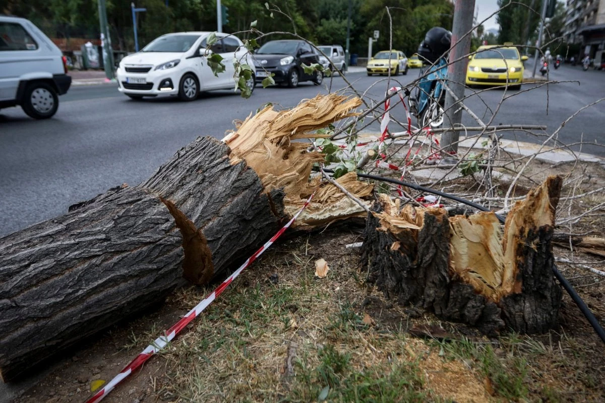 Ο «Ξενοφών» σαρώνει την Ελλάδα: Ξερίζωσαν δέντρα οι μανιασμένοι άνεμοι – Σε αυξημένη ετοιμότητα για τον κυκλώνα «Ζορμπά» καλεί η ΓΓ Πολιτικής Προστασίας